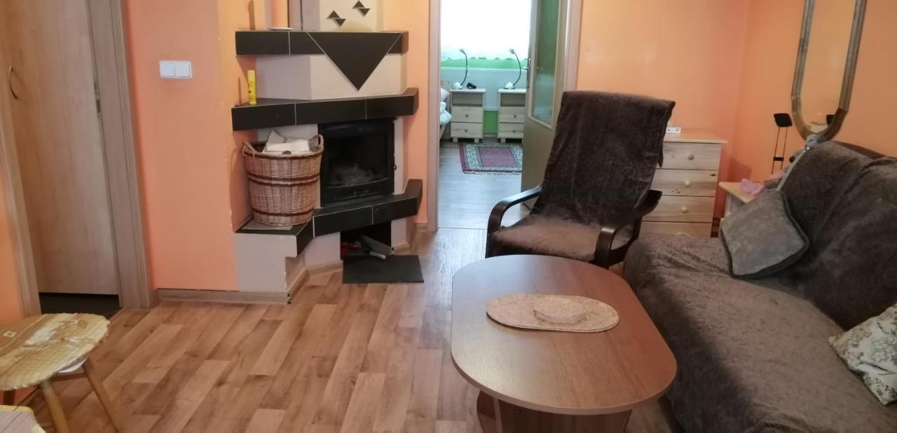 Plně vybavený 2+1byt s balkonem a kójí pro kola a lyže. Rokytnice v Orlických Horách Exterior foto