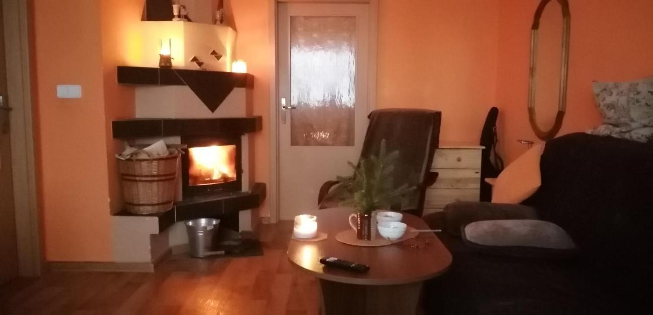 Plně vybavený 2+1byt s balkonem a kójí pro kola a lyže. Rokytnice v Orlických Horách Exterior foto