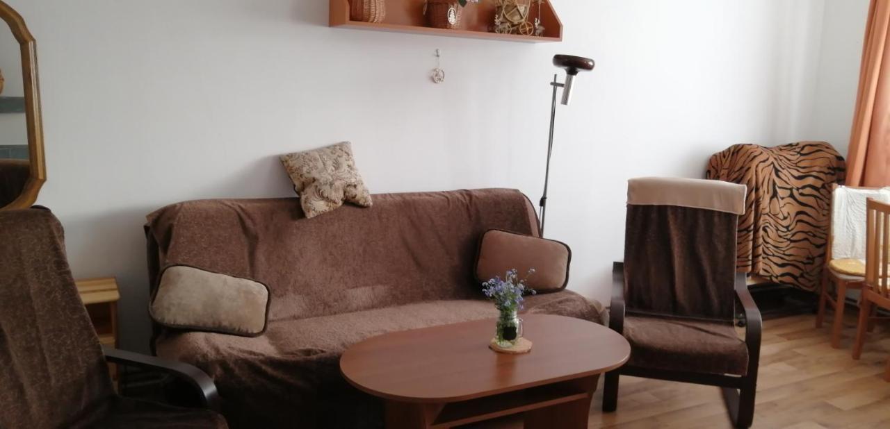 Plně vybavený 2+1byt s balkonem a kójí pro kola a lyže. Rokytnice v Orlických Horách Exterior foto